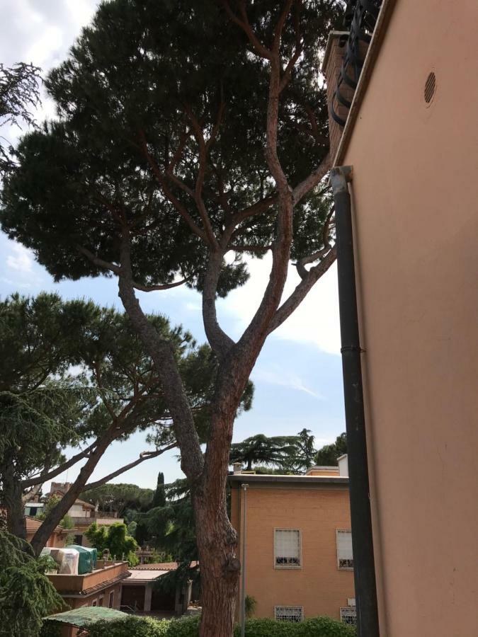 Agli Acquedotti Romani Dış mekan fotoğraf
